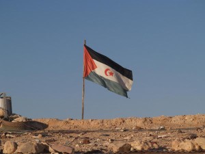 Una bandiera della  Repubblica araba democratica saharawi sventola nel deserto