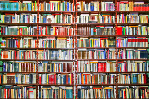 Books shelf