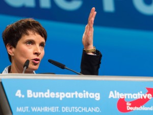 Germania, elezioni, Afd