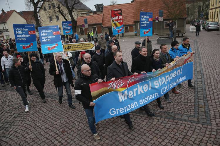 Afd, Germania, Islam, minareti