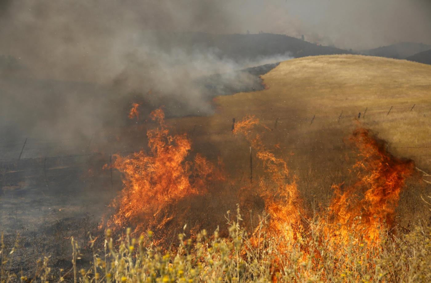 Tra il 16 e il 17 giugno, in Sicilia, sono divampati 800 roghi