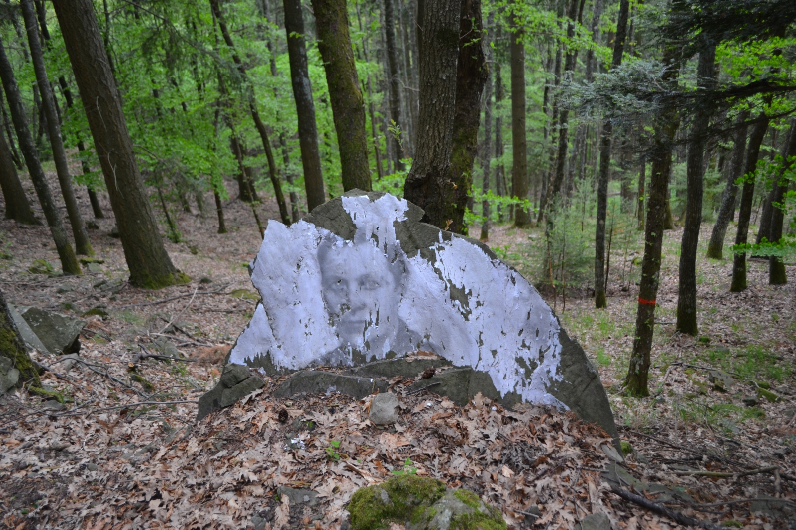 Montanino (Toscana), Alpi apuane, anello della Linea Gotica del 1944. Qui sono ancora visibili le postazioni militari costruite dai tedeschi