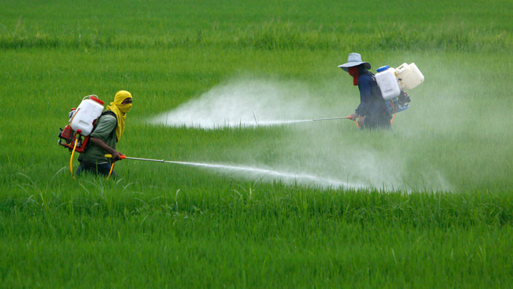 pesticida, emissioni, ambiente