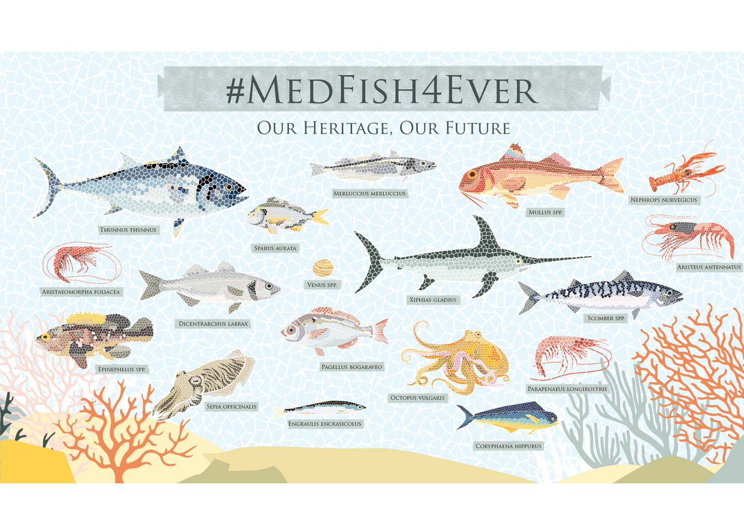 MedFish4Ever