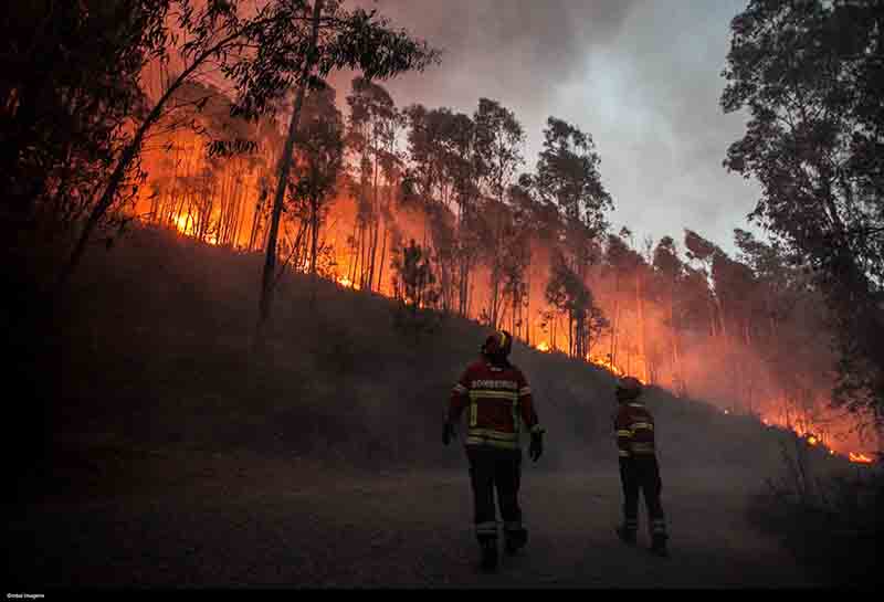 Portogallo in fiamme, il maxi incendio brucia migliaia di ettari di bosco