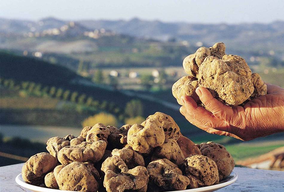 Il tartufo di San Miniato promosso a Bruxelles dal presidente del consiglio regionale toscana Eugenio Giani