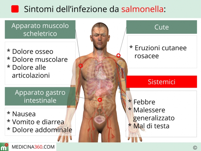 salmonella, infezione, pollo, uova