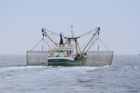 Un battello per la pesca "elettrica"