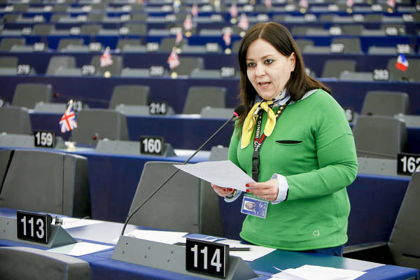 Plenary session week 10 2016 in Strasbourg
Posting of workers