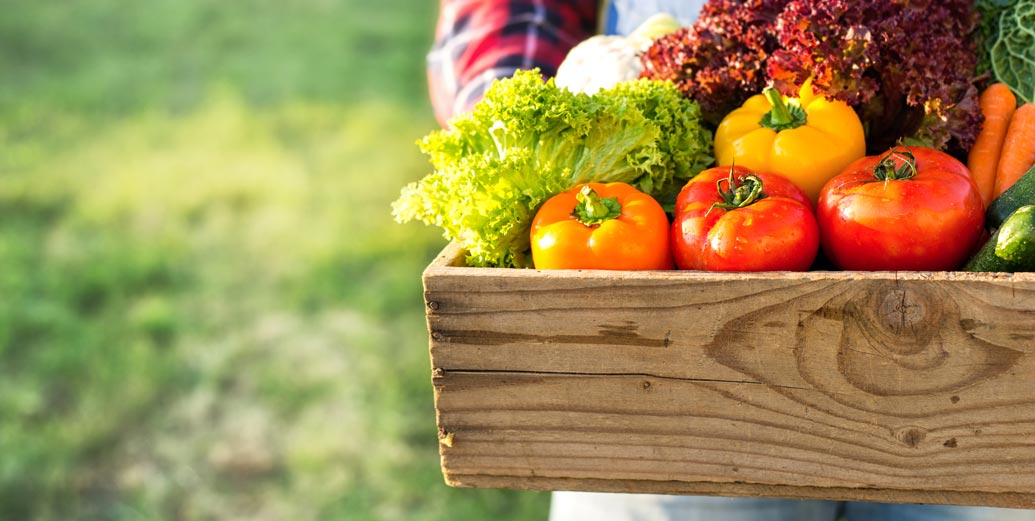 sicurezza alimentare