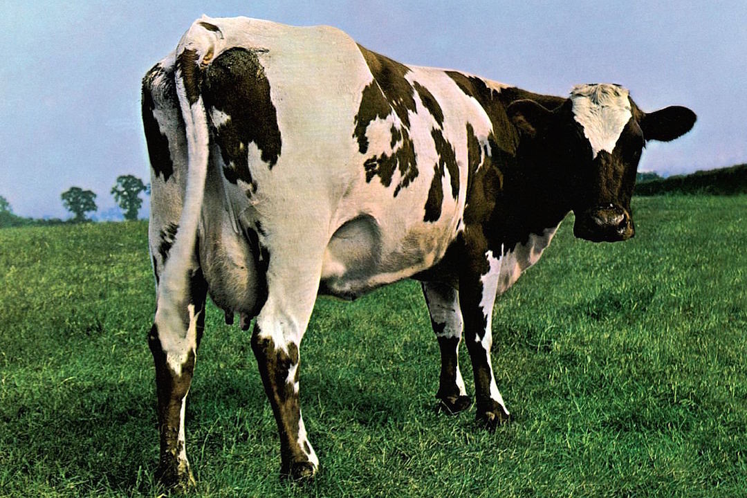 La copertina di "Atom Heart Mother" dei Pink Floyd (1970)