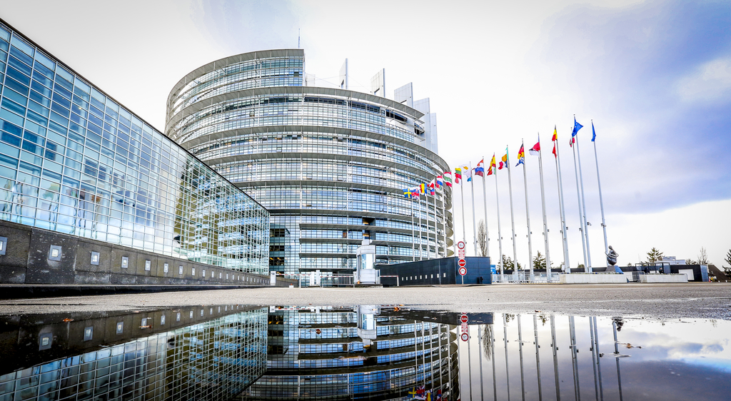 A Strasburgo la prossima settimana si vota per il post-Sassoli. Il Parlamento UE cerca il nuovo presidente [foto: archivio] Preferenze