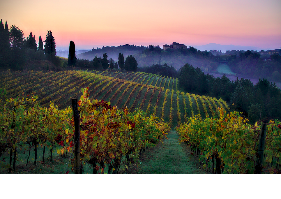 Paesaggio della Toscana, la regione italiana con la maggiore flessione del valore aggiunto [foto: Wikimedia Commons]