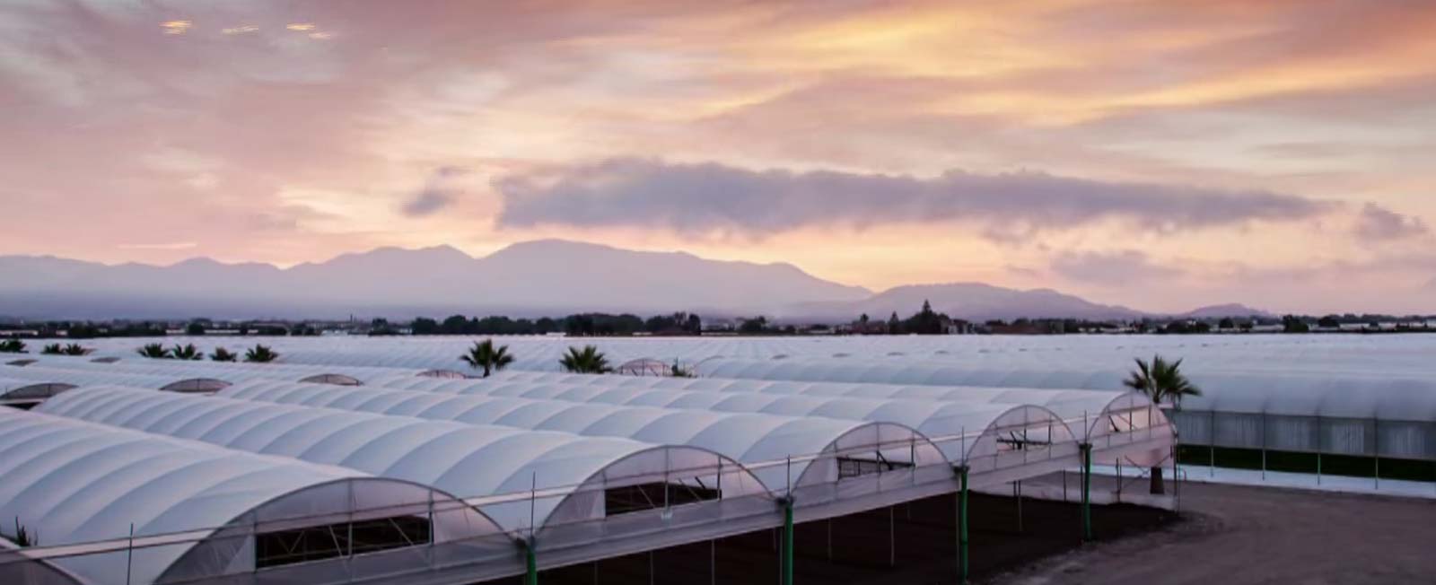 Fondi agricoli, l'Italia non deve restituire 144,7 milioni di euro [foto: imagoeconomica]