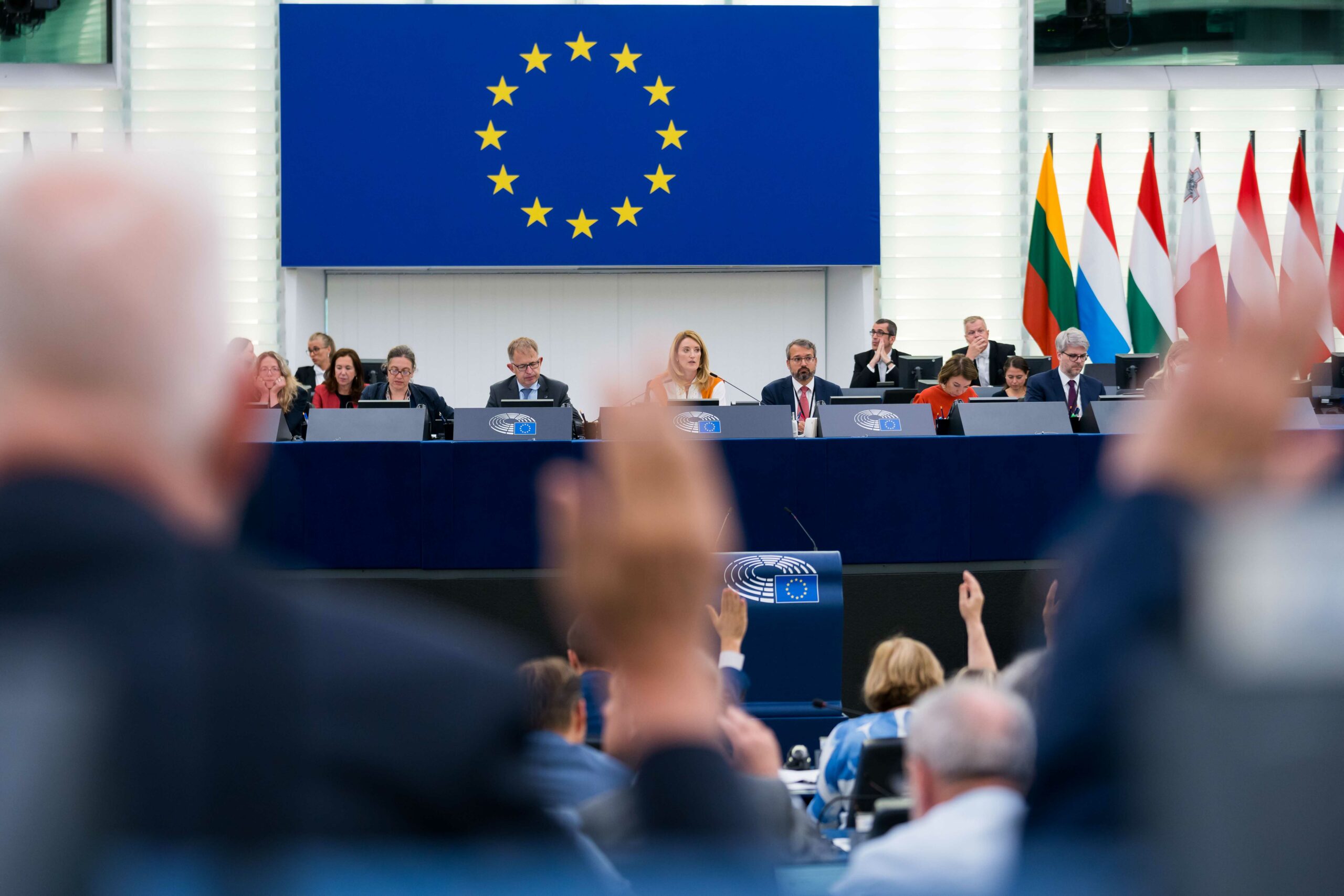 EP Plenary session.- Voting session