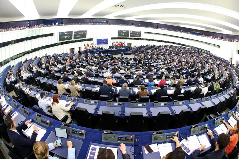 EP Plenary session - Voting session