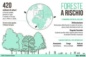 Deforestazione Foreste Ue