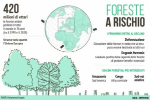 Deforestazione Foreste Ue