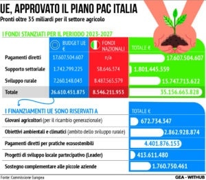 Piano strategico Pac Italia