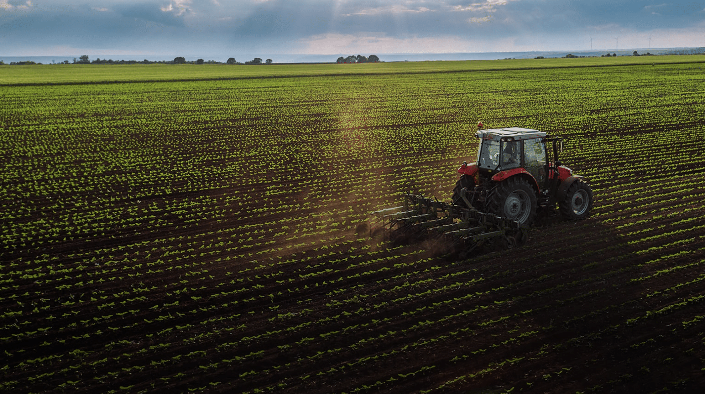 agricoltura agroalimentare agrifood agricoltura aiuti di stato