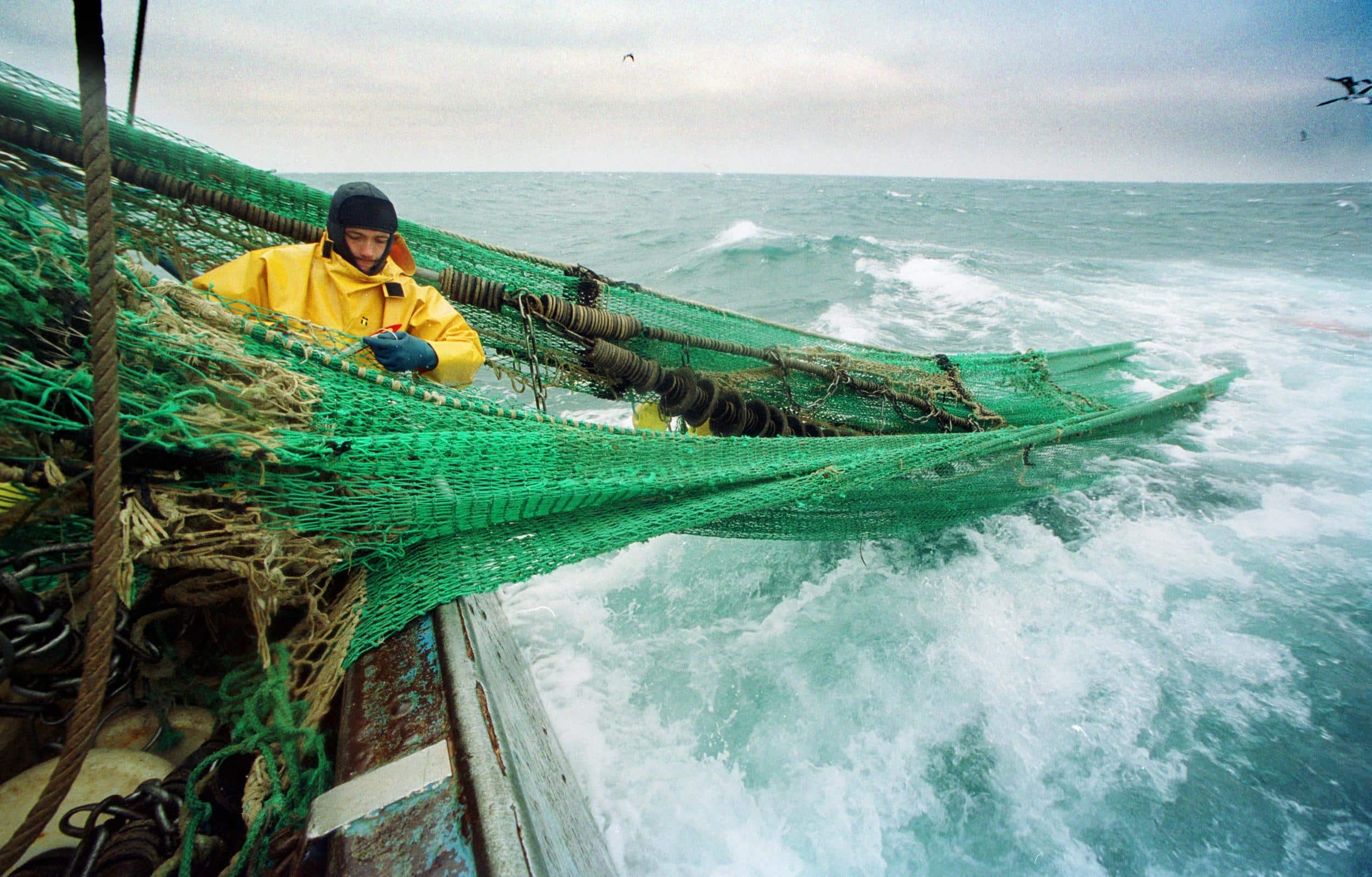 pescatori pesca a strascico ue