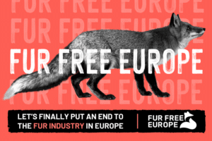 Fur Free Europe Pellicce