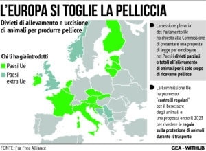 Divieto Pellicce Europa