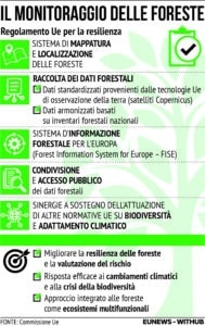 Monitoraggio Ue Foreste