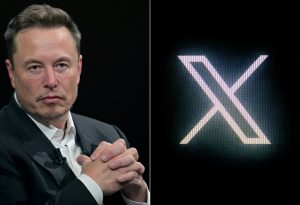 Elon Musk X Digital Services Act