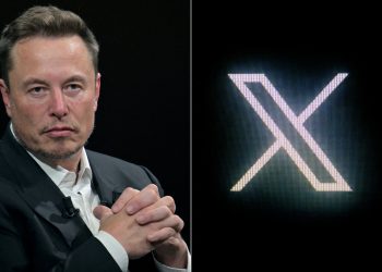 Elon Musk X Digital Services Act