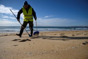 Spagna microplastiche pellet