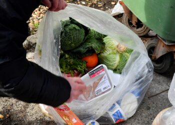 spreco alimentare cibo