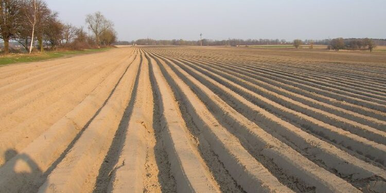 Un campo arato [foto: Wikimedia Commons]