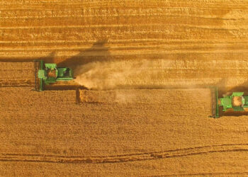 Ucraina Agricoltura Grano dazi Pac