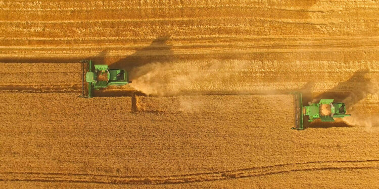 Ucraina Agricoltura Grano dazi Pac