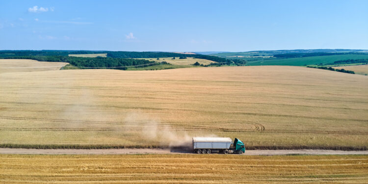 Agricoltura Ucraina