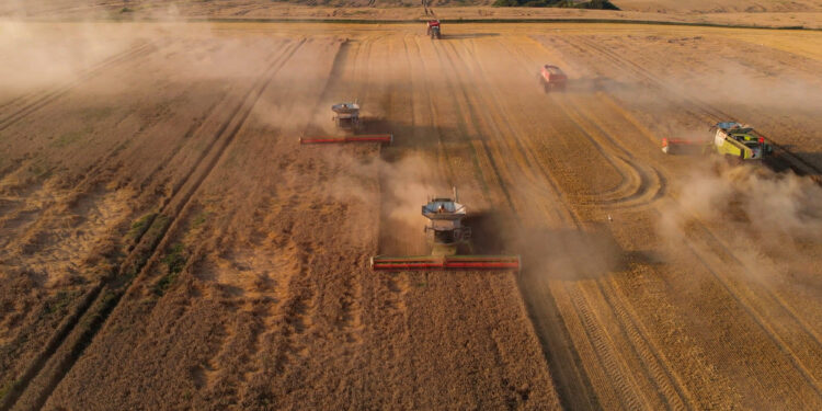 Agricoltura Ucraina Aiuti di Stato