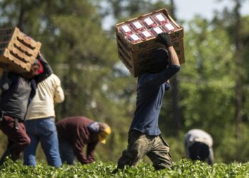 Lavoro forzato