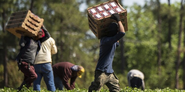 Lavoro forzato