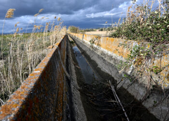 siccità aea acqua