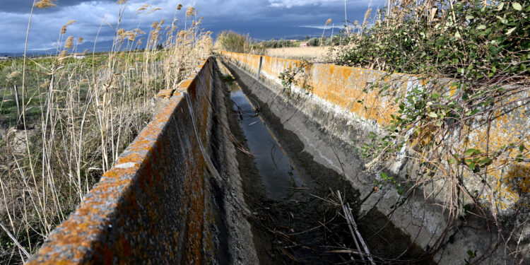 siccità aea acqua