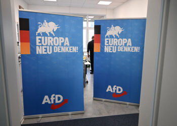 AfD Germania Estrema Destra Parlamento Ue