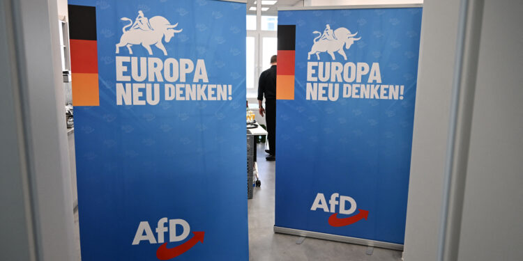 AfD Germania Estrema Destra Parlamento Ue