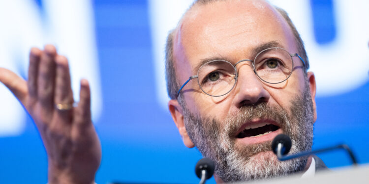Manfred Weber, il capogruppo del Ppe.(Foto di LUKAS BARTH / AFP)
