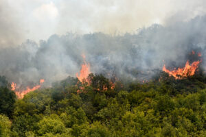 Incendi Macedonia del Nord