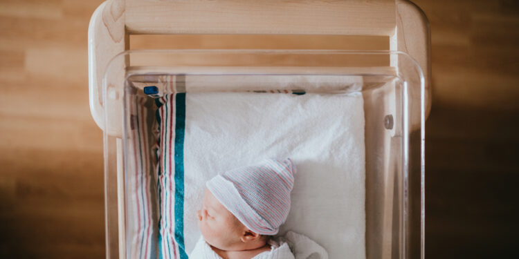 A baby just born at the hospital rests in a hospital bassinet crib, wrapped in a swaddle and wearing a beanie hat.