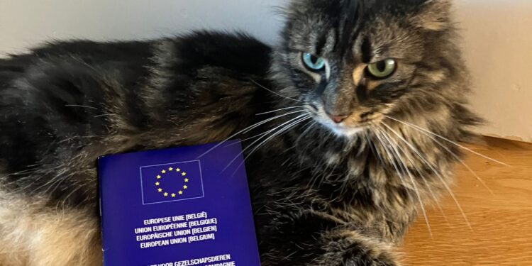 Animali Passaporto Ue Viaggio