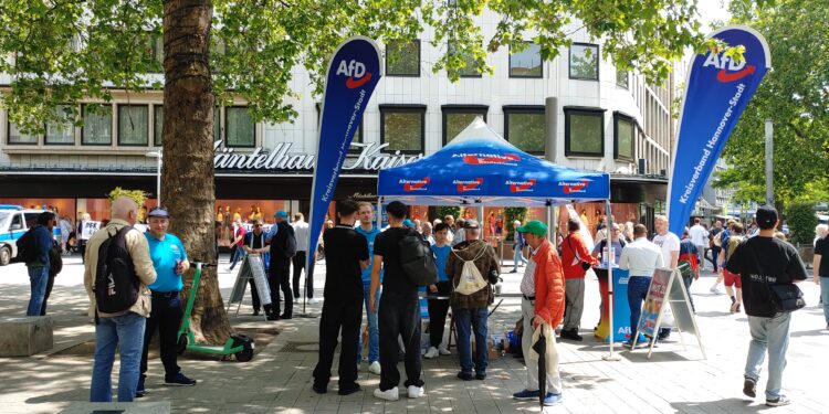 Un banchetto elettorale dell'AfD alle europee del giugno 2024 (foto: Bernd Schwabe via Wikimedia Commons)