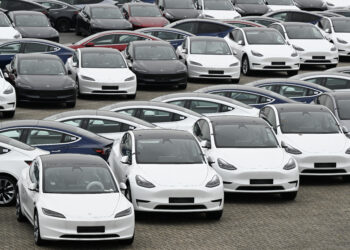 Tesla electric cars are stationed in a storage area in the Zeebrugge port, northern Belgium on June 21, 2024. (Photo by JOHN THYS / AFP)