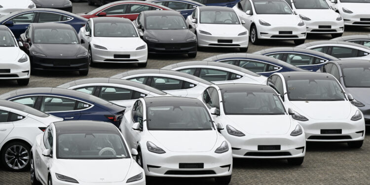 Tesla electric cars are stationed in a storage area in the Zeebrugge port, northern Belgium on June 21, 2024. (Photo by JOHN THYS / AFP)